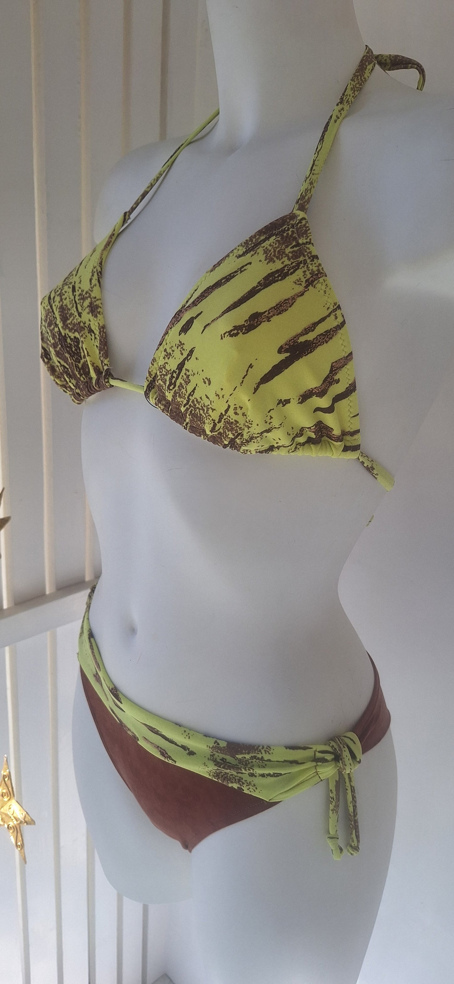 Brazilian Bikini
